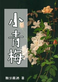 小青梅（np）小说封面